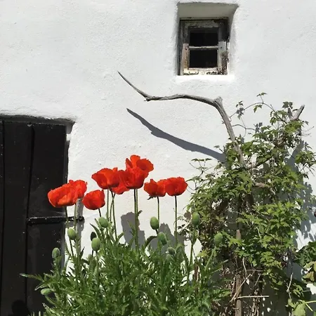 펜션 Ilsebill 리브니츠 담가르텐