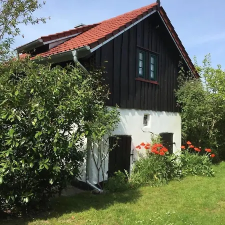 Ilsebill * Ribnitz-Damgarten